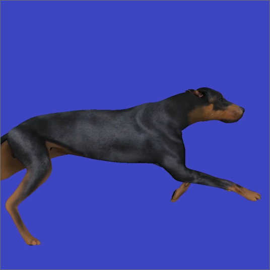 Dog Cycle 3D